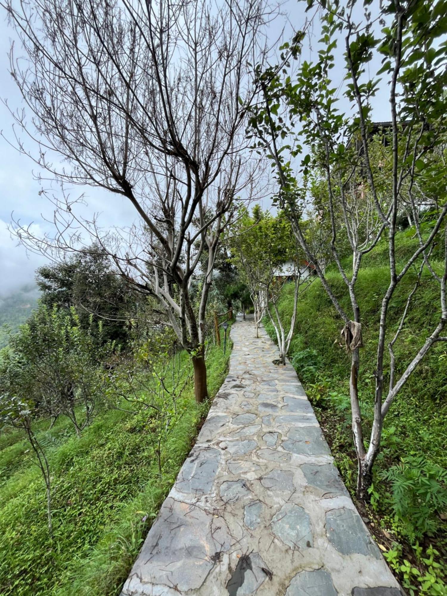 Apple Garden Cottages And Restaurant Dhanaulti Extérieur photo